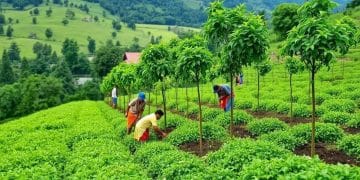 Environmental sustainability efforts: Strategies for a greener future